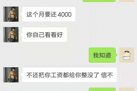 嘉善为什么选择专业追讨公司来处理您的债务纠纷？